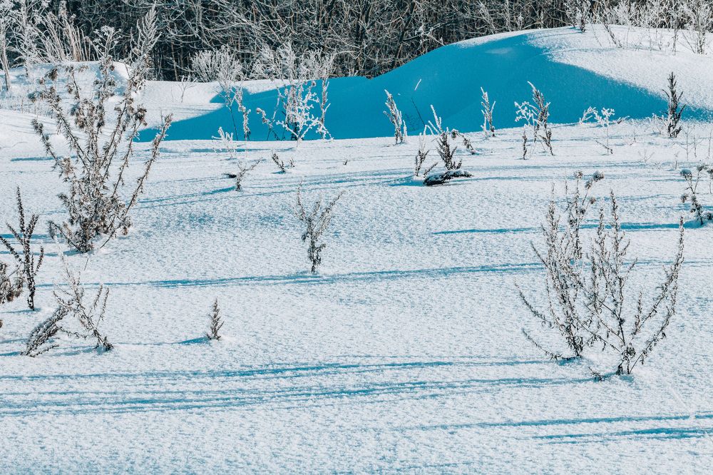 Photograph by Натали Захарова (Тай)