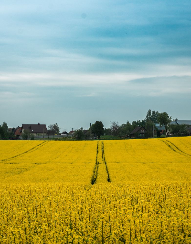 Фотография автора Геннадий Ломеко