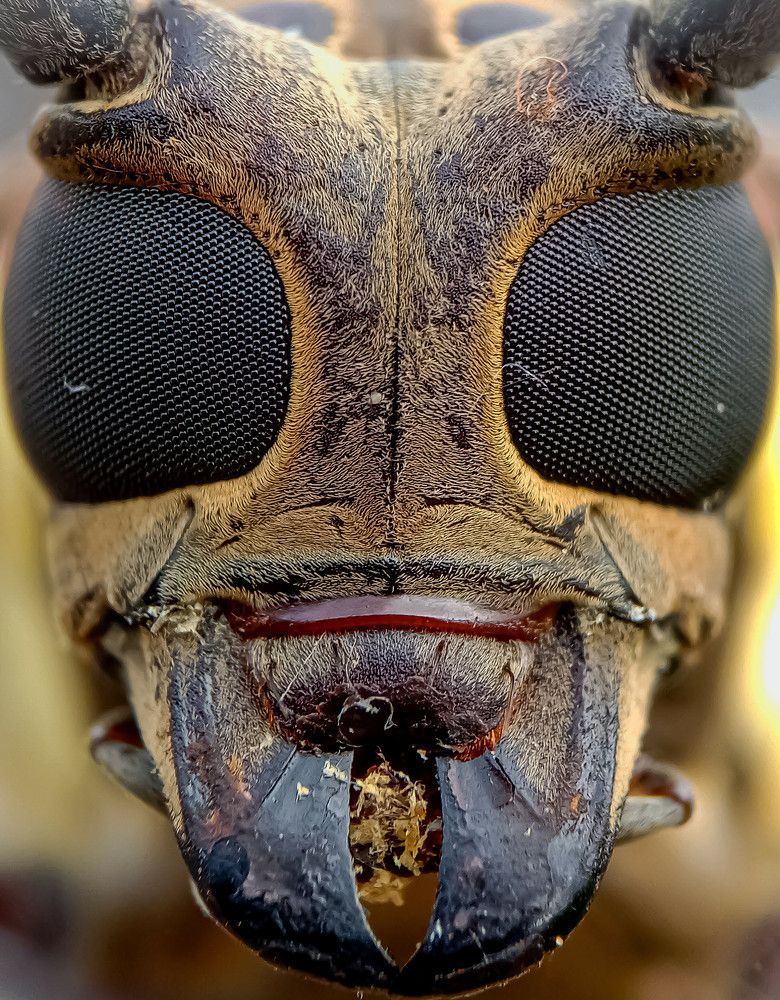 Photograph by Khairi Yi Miao