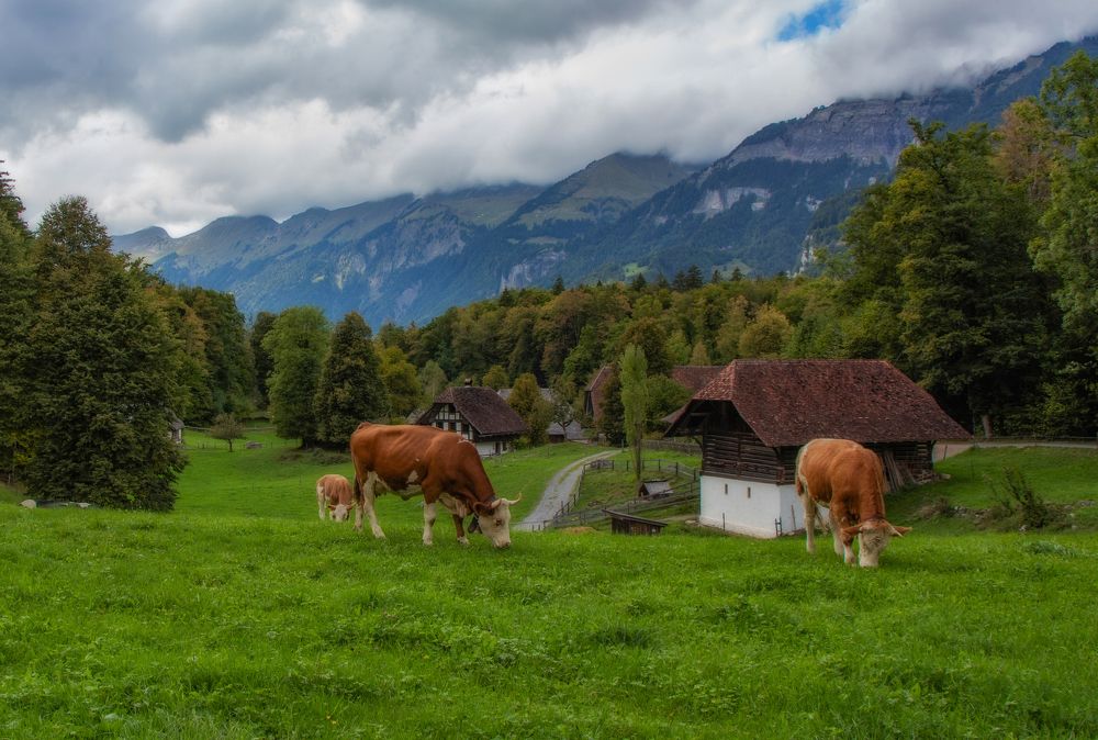 Photograph by Вадим Городницкий
