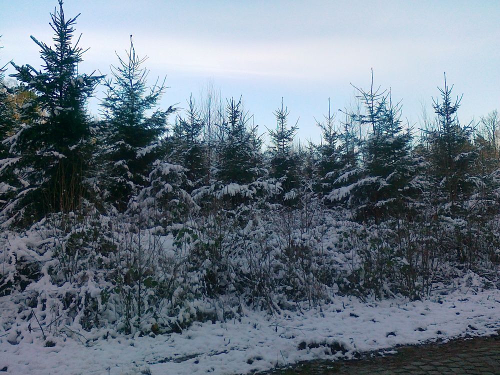 Photograph by Александр Борисович Шкурат