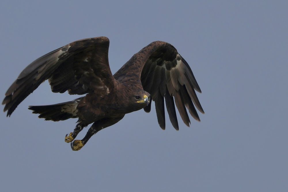 Photograph by Sanjay Risbood