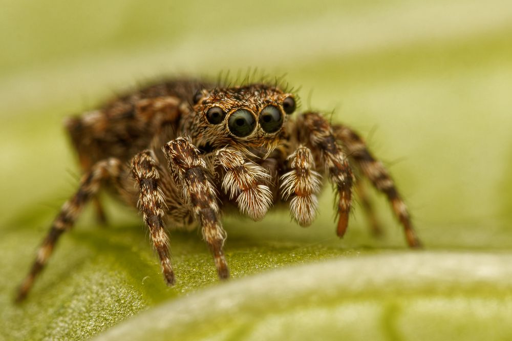 Фотография автора Jozef Mihalčin