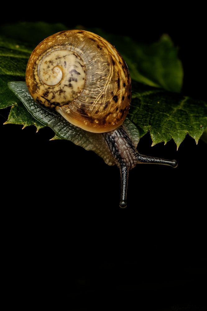 Фотография автора Jozef Mihalčin
