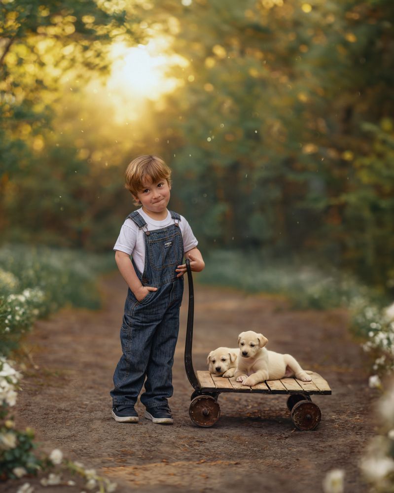 Photograph by Amalia Zilio