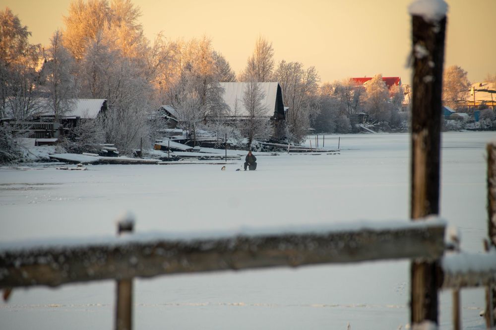 Фотография автора Евгений Шубин