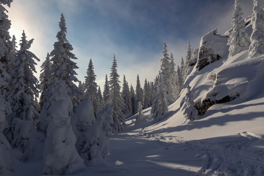 Фотография автора Анастасия Тараканова