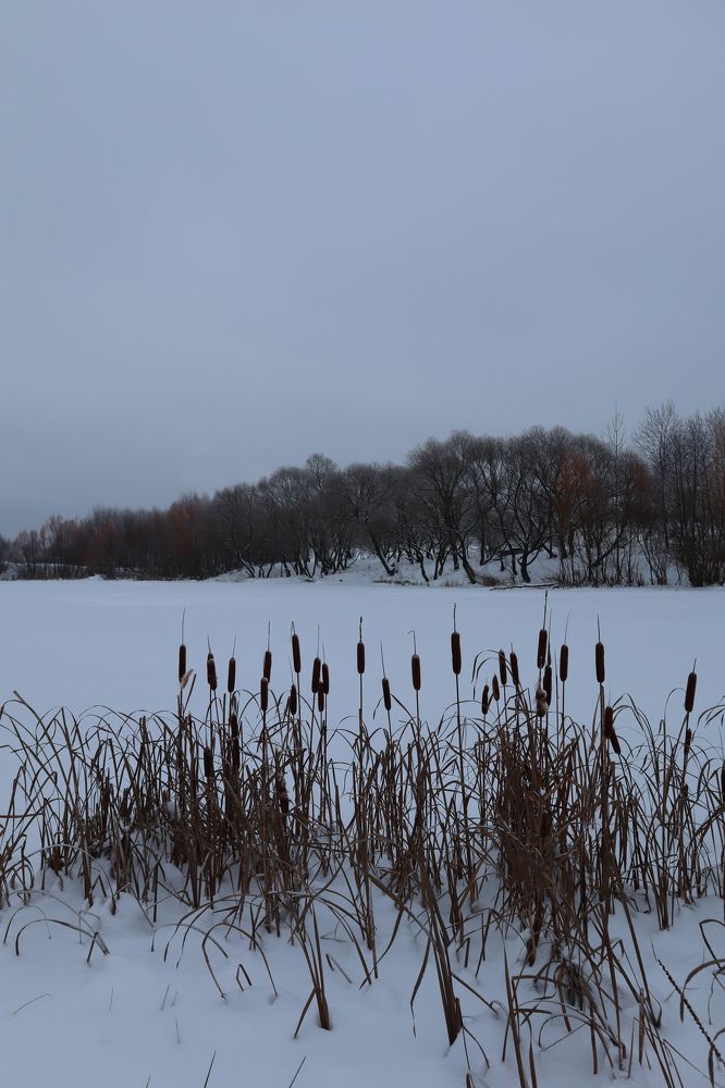 Photograph by Evgenia Korchagova