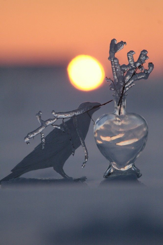 Фотография автора Татьяна Шебаршенко