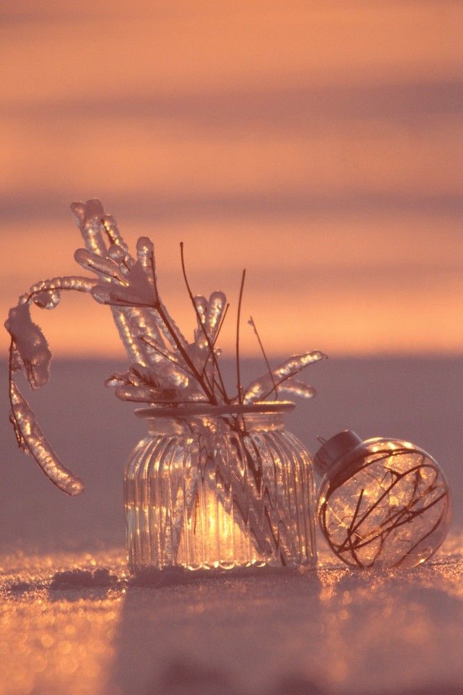 Фотография автора Татьяна Шебаршенко