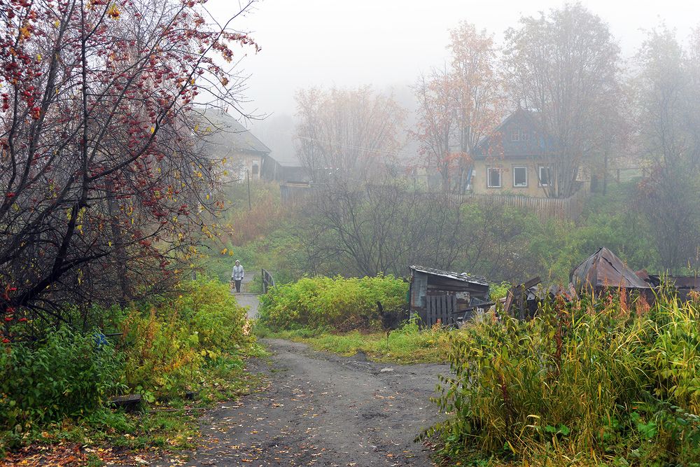 Утренний туман.