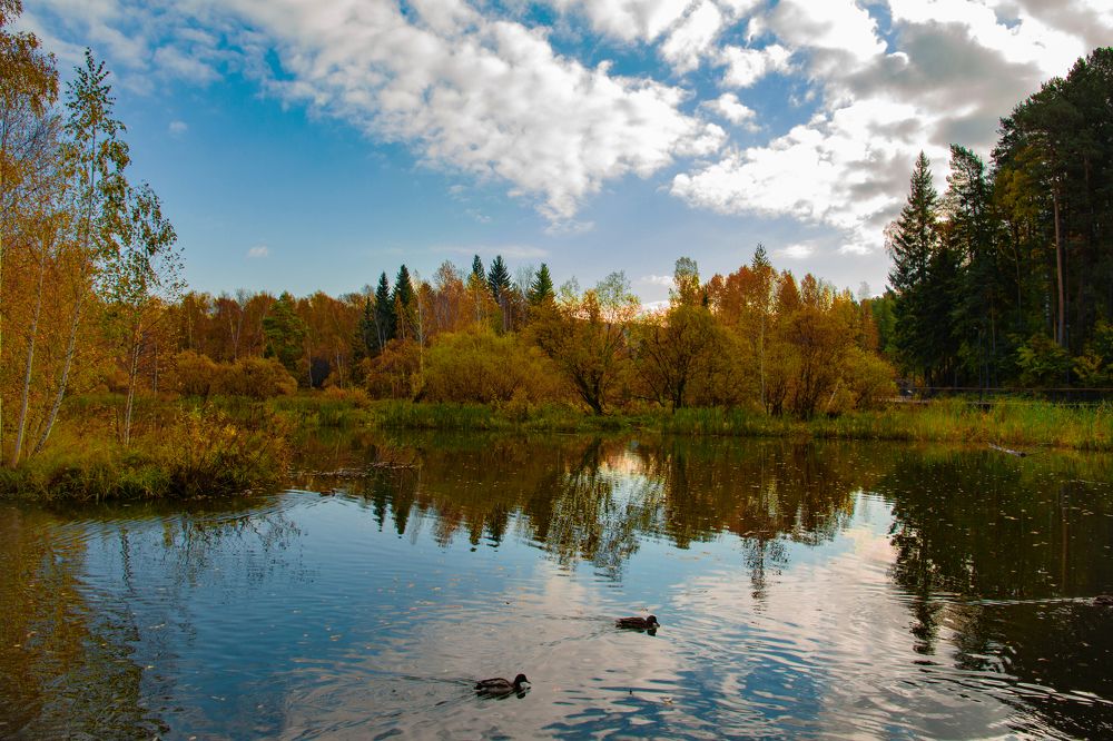Photograph by Евгений Авдеев