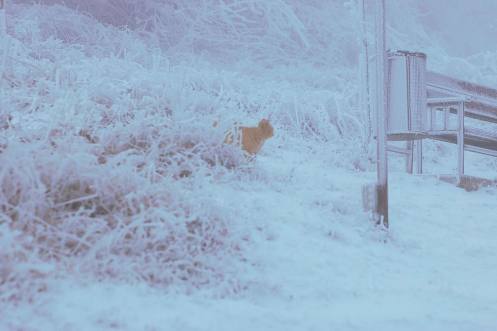 Photograph by Валентина Парфёнова