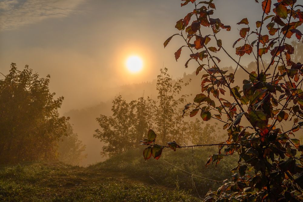 Photograph by Кирилл Никонов