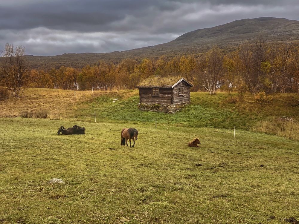 Photograph by Janina Segeda