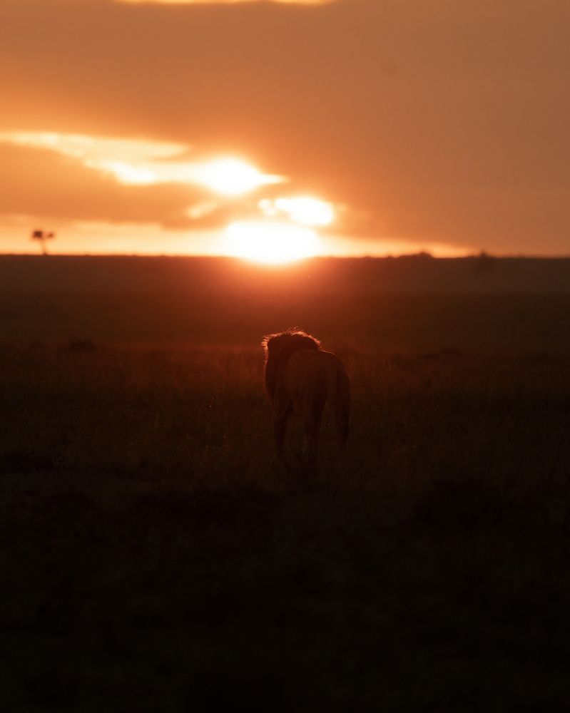 Photograph by Leo Joe George