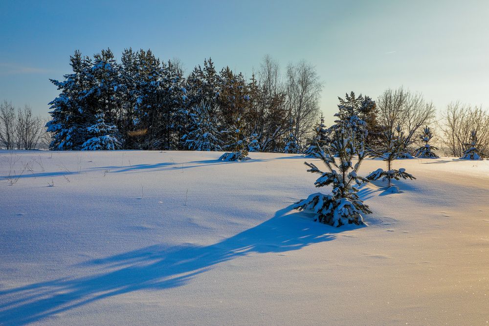 Фотография автора Юрий Фефилов