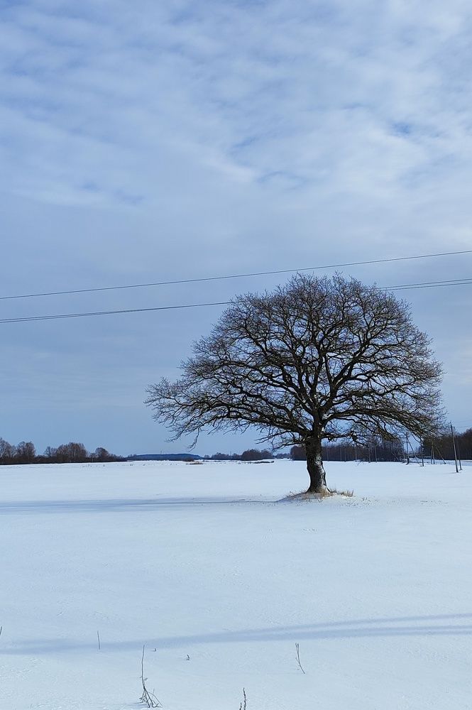 Photograph by Екатерина Сковорода
