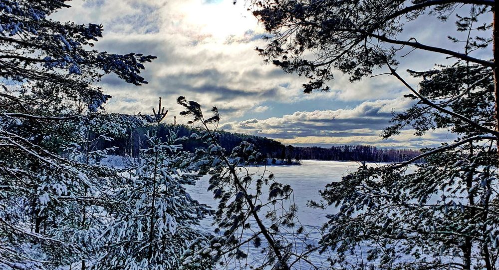 Photograph by Михаил Свиденцов