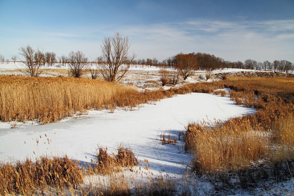 Фотография автора Александр Челмодеев
