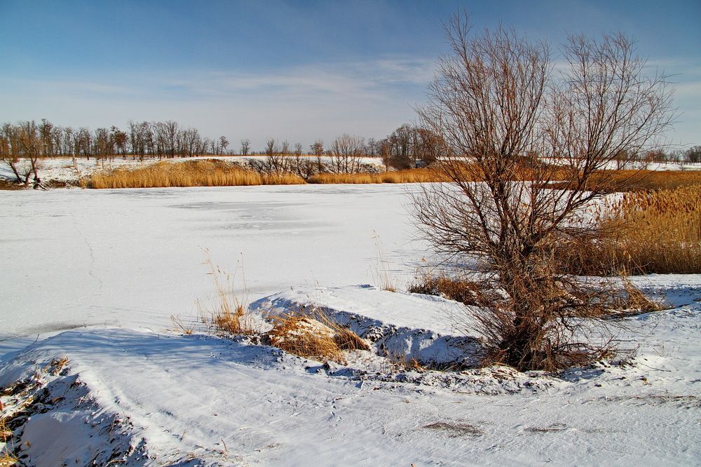 Фотография автора Александр Челмодеев