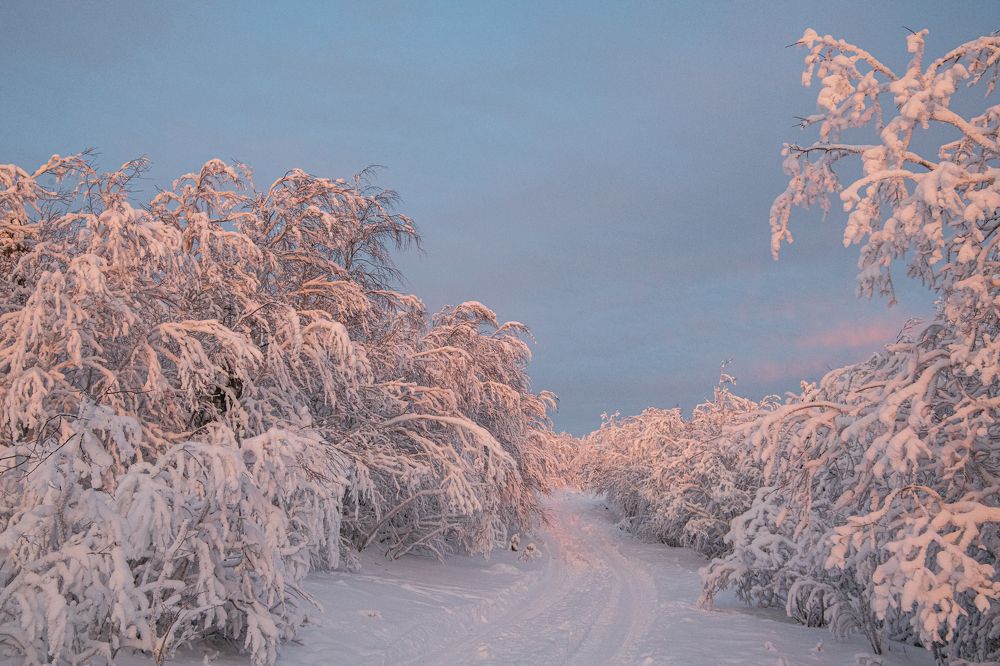 Photograph by Юрий Платухин
