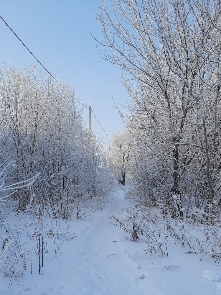 Photograph by Евгения Шашина