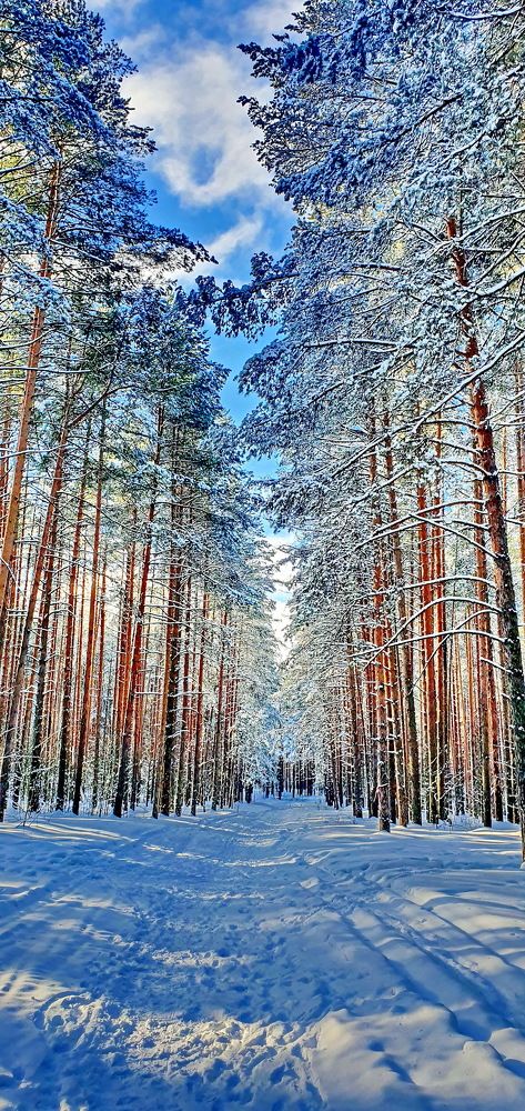 Photograph by Михаил Свиденцов