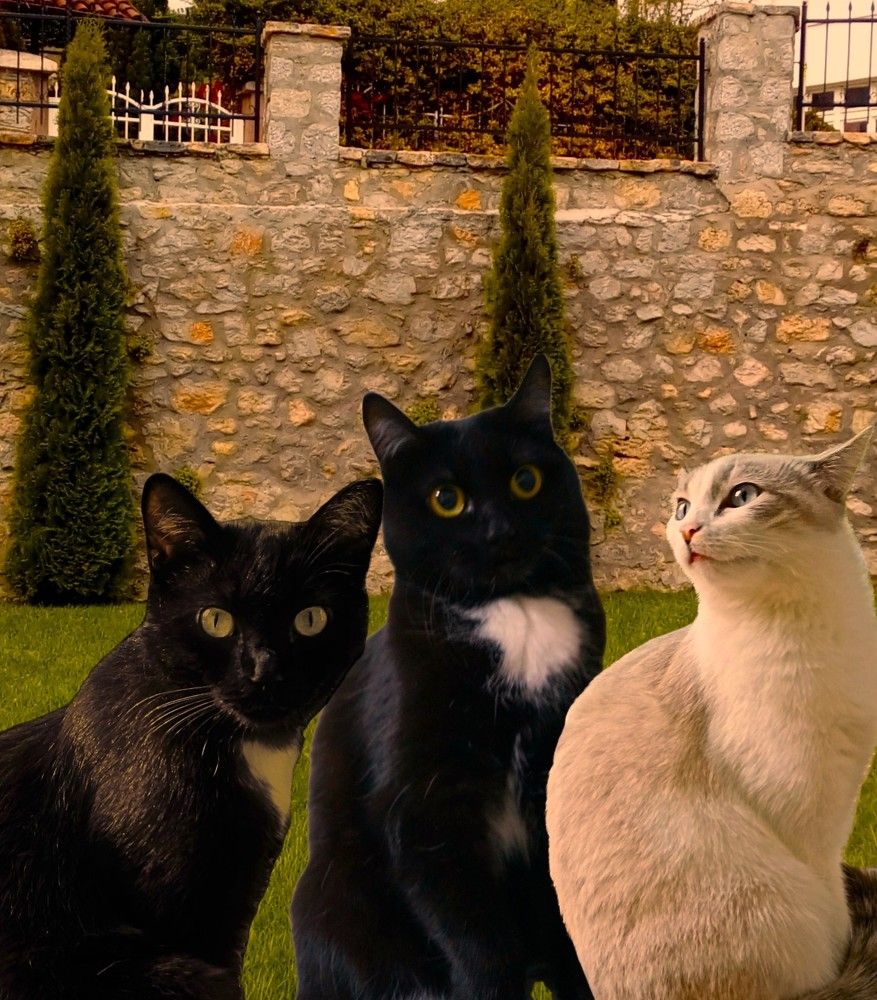 Photograph by Алия Байсыкова