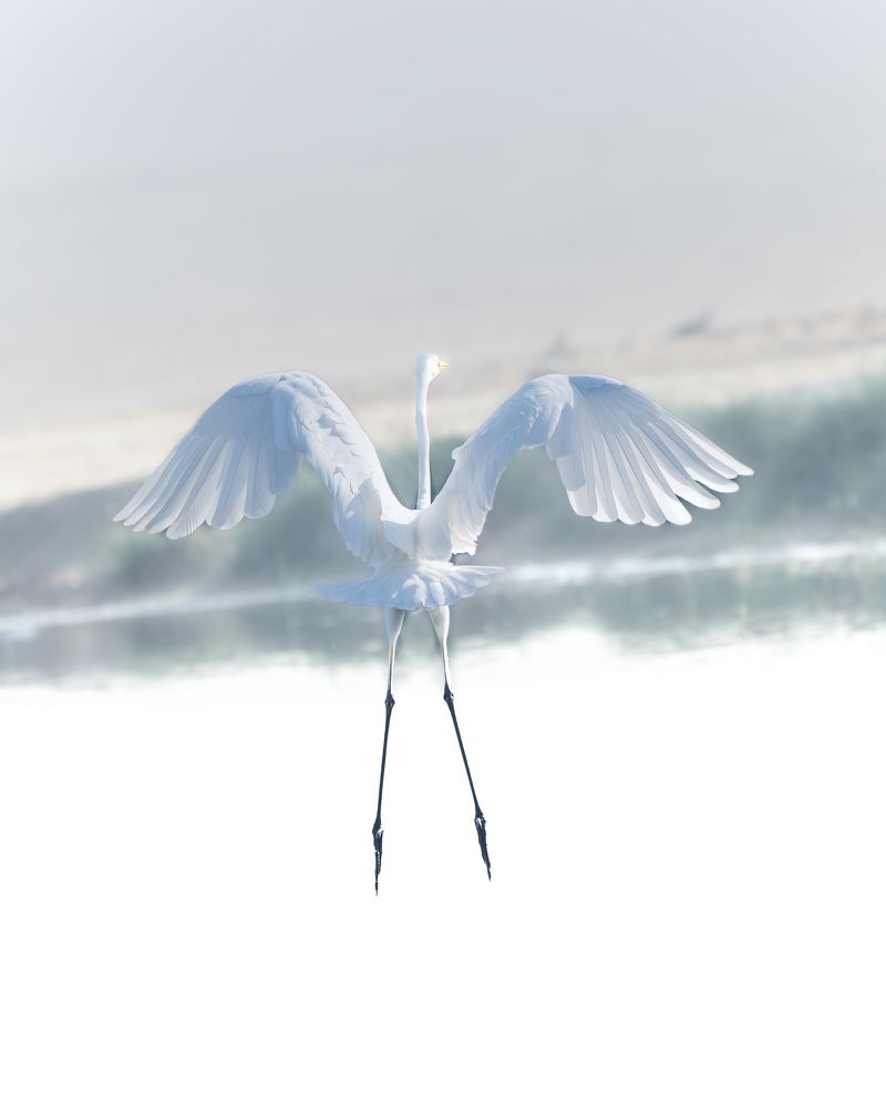 Photograph by Viji Abraham