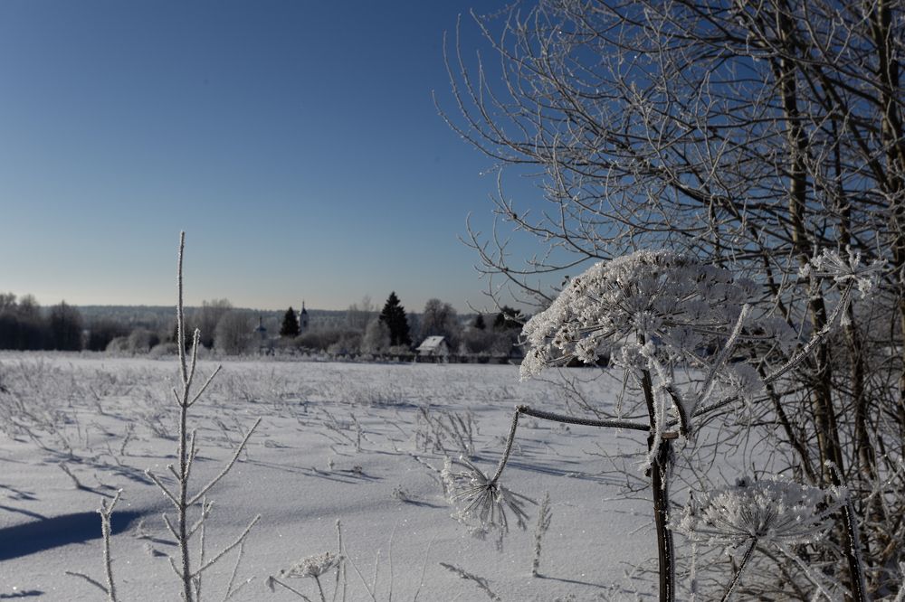 Photograph by Михаил Беликов