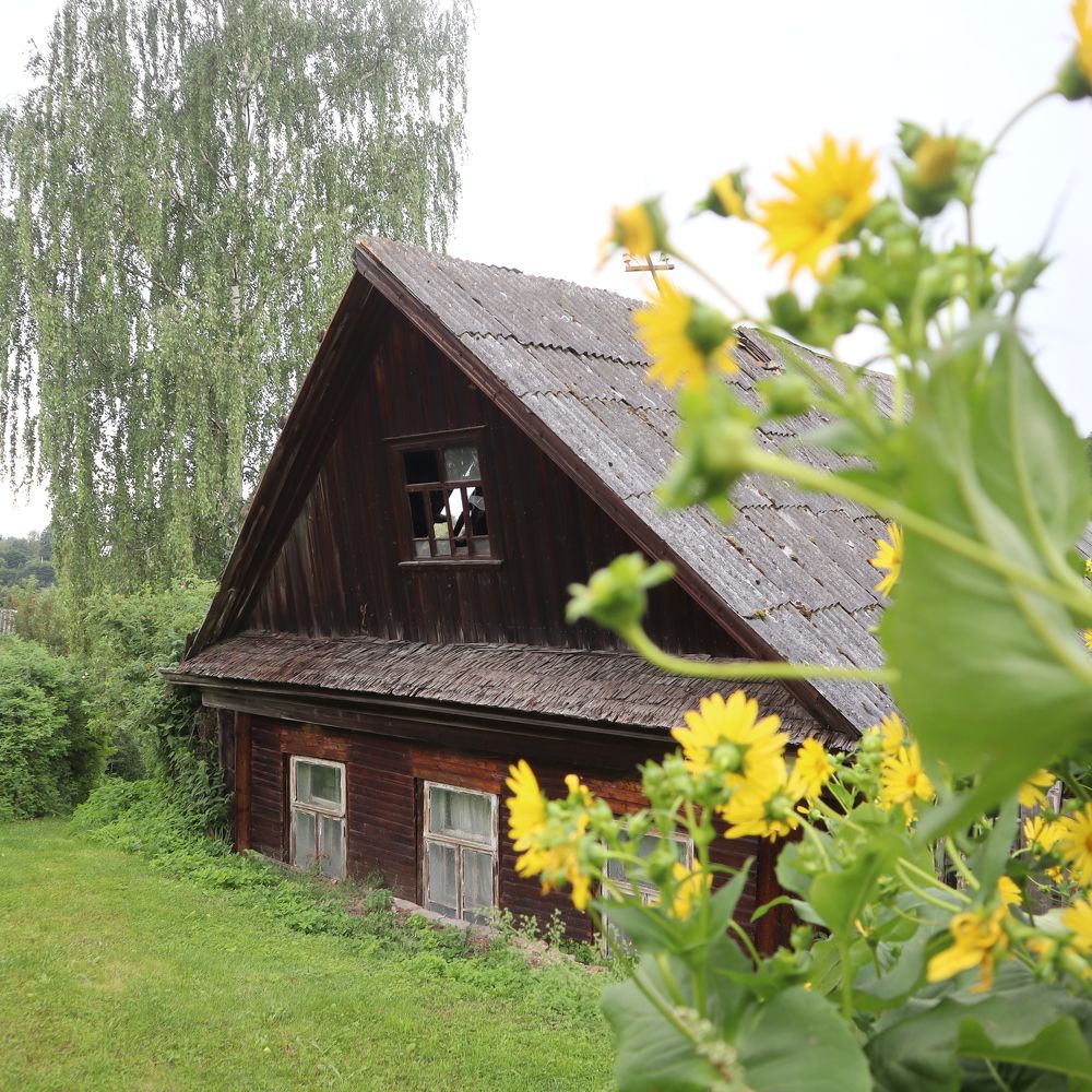 Photograph by Ирина