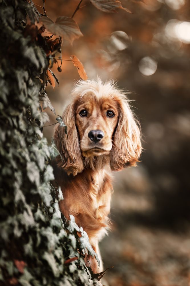 Photograph by Kristin