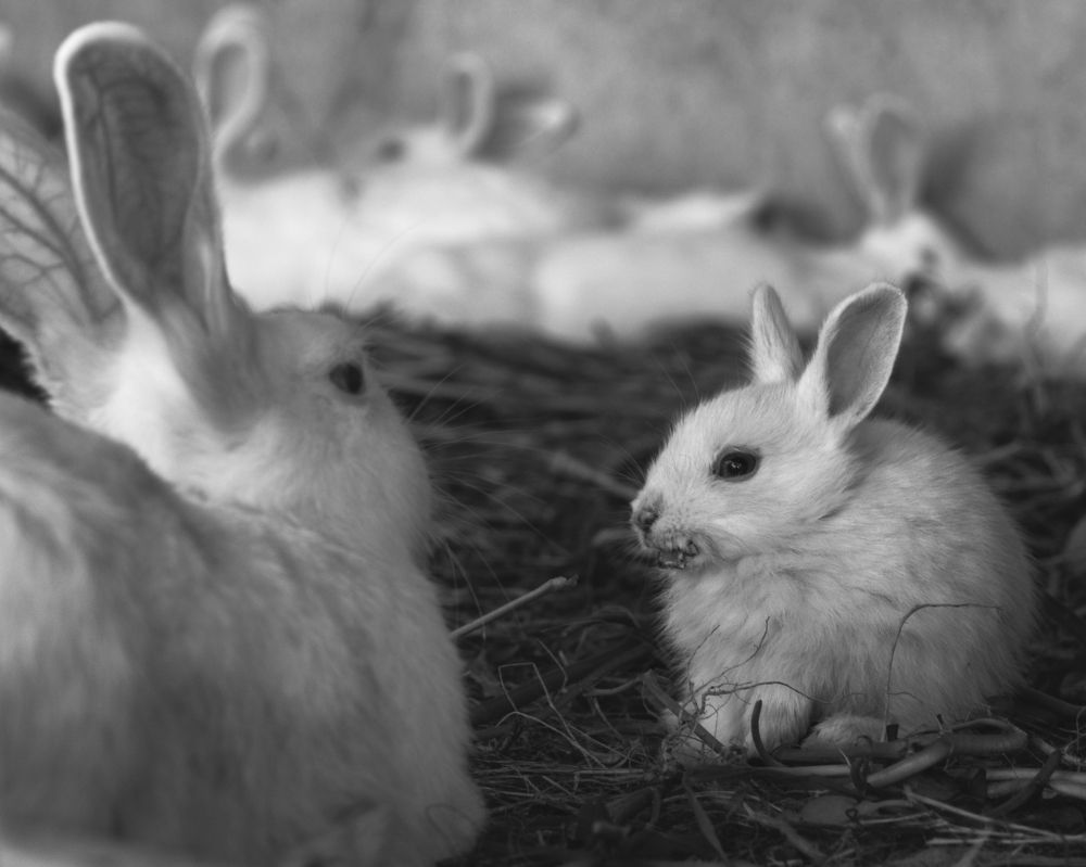 Amm..mon, i'm hungry