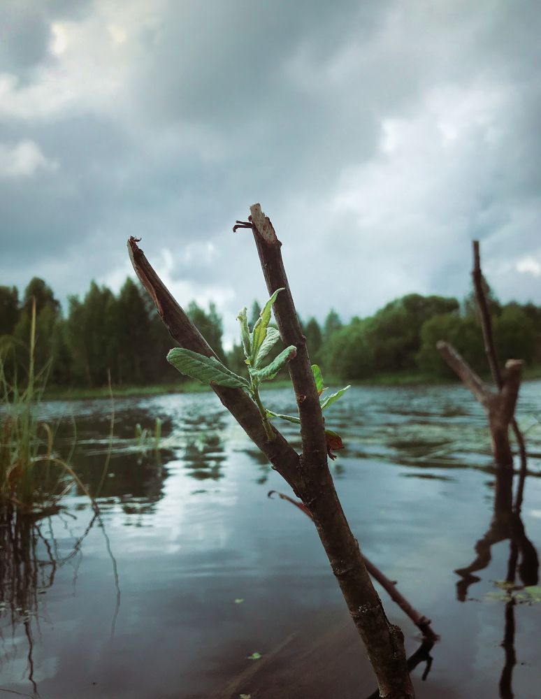 Photograph by Mary Ryzhenkova