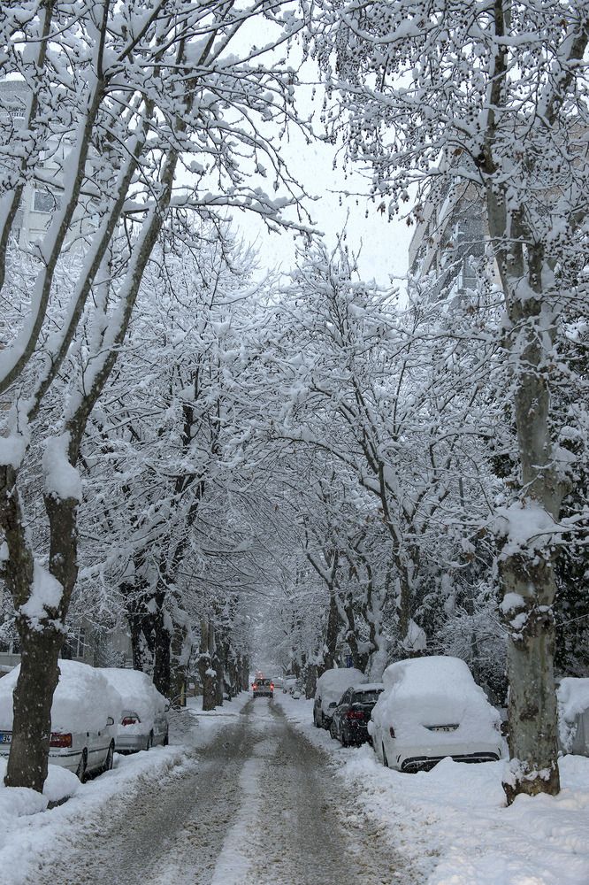 Photograph by Celal Oflaz