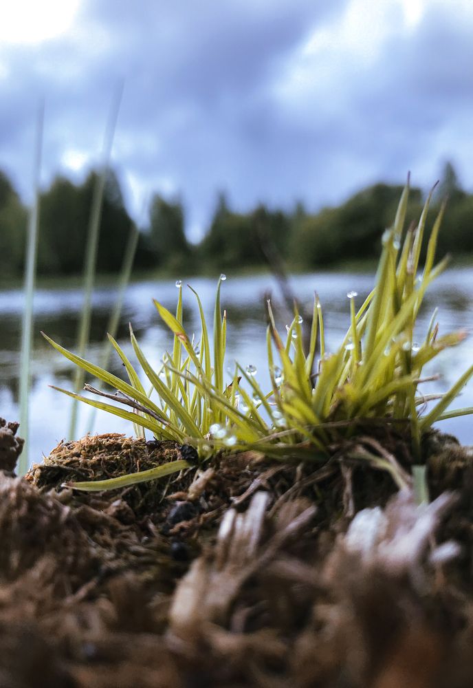 Photograph by Mary Ryzhenkova