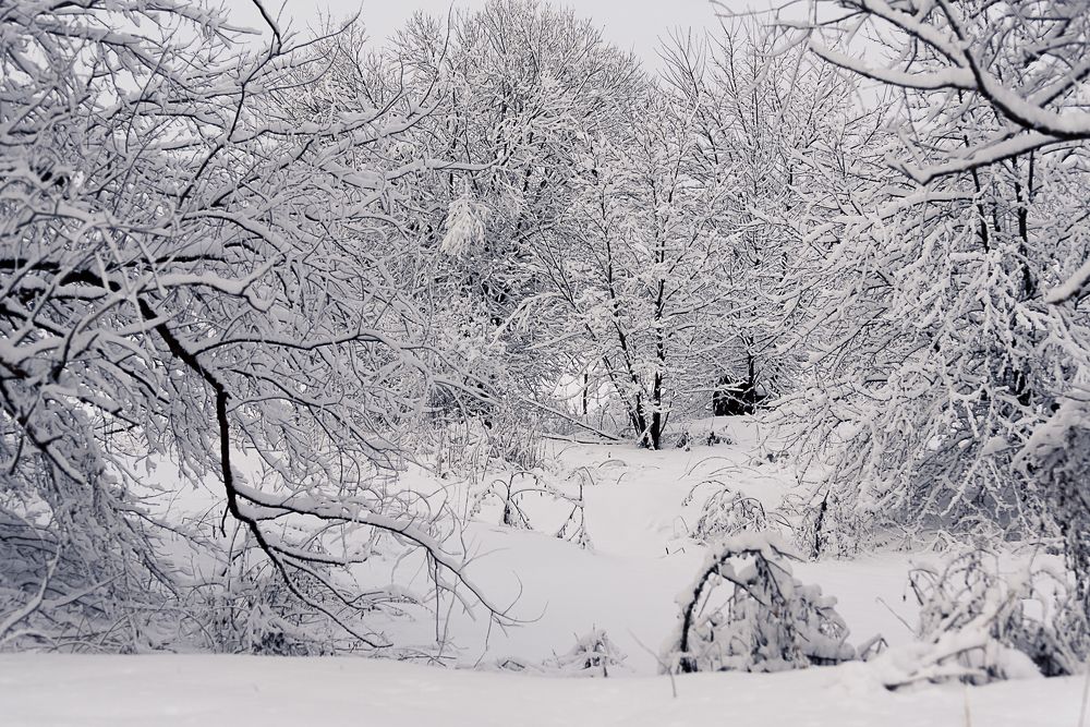 Photograph by Татьяна Зубехина