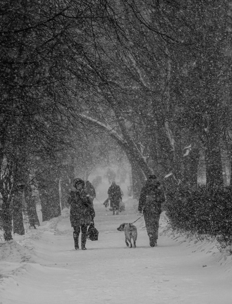 Photograph by Алена Скворцова