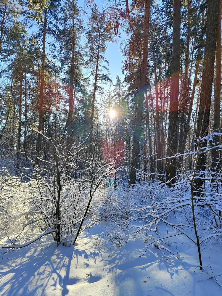 Photograph by Анастасия Зайченко