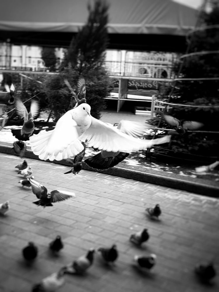 Фотография автора Андрей