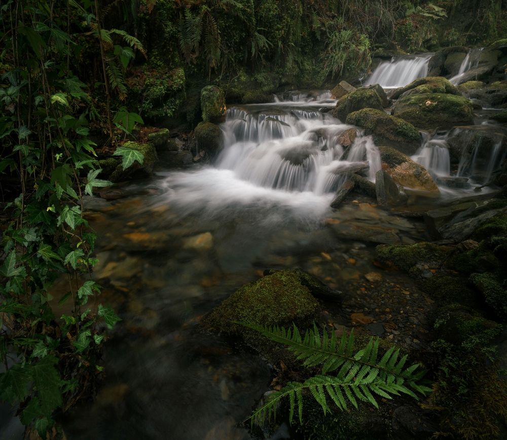 Photograph by Miguel Iglesias