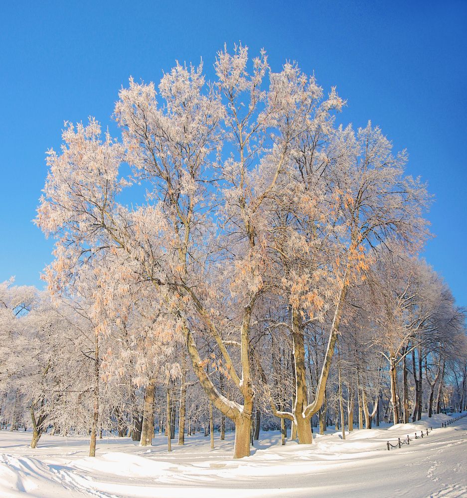 Photograph by Сергей Григорьев