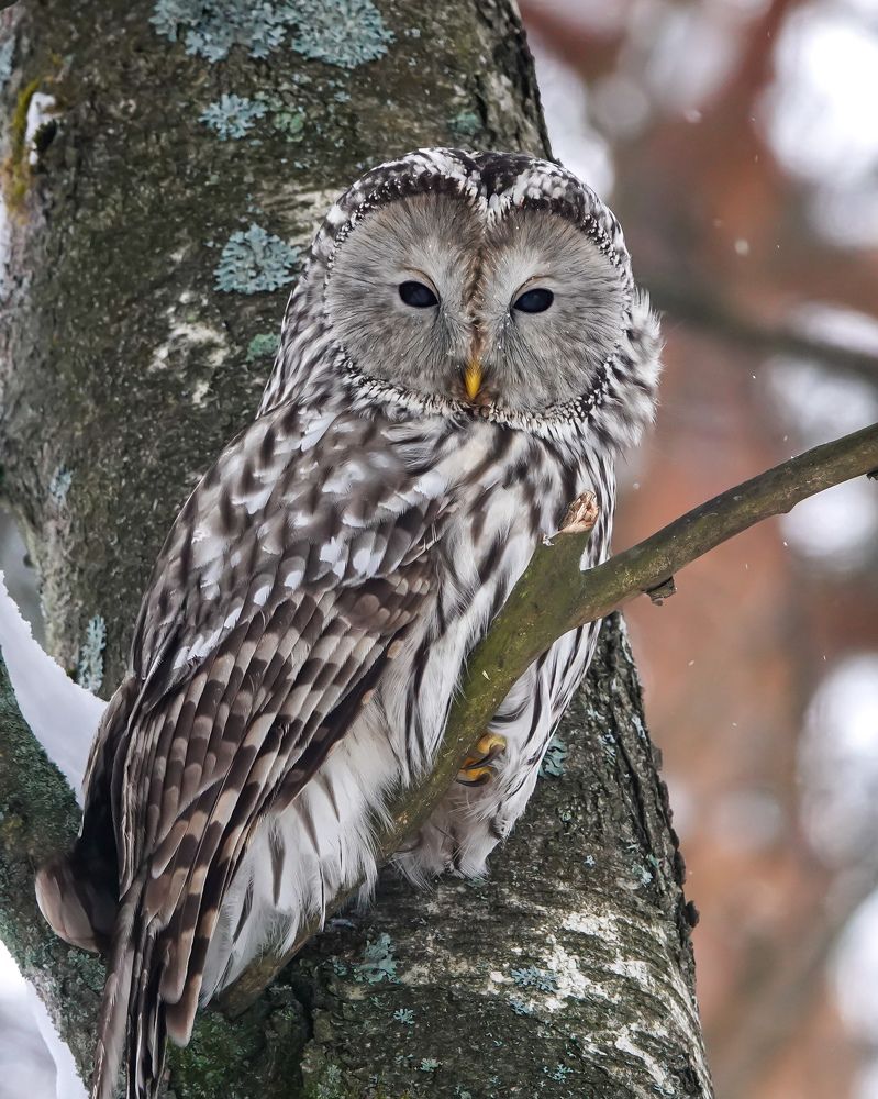 Photograph by Валерия Ковалева