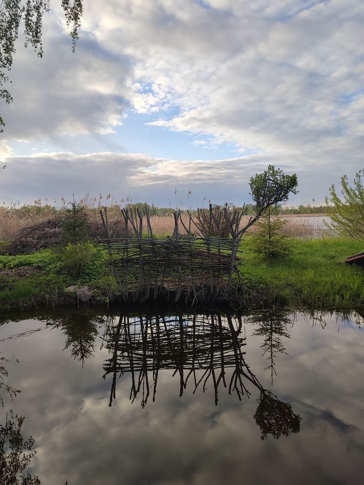 Фотография автора Лолита Богачева