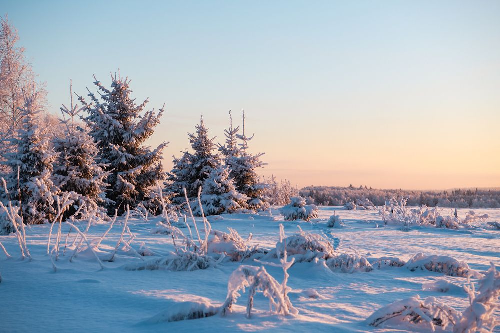 Фотография автора Екатерина Лапаева