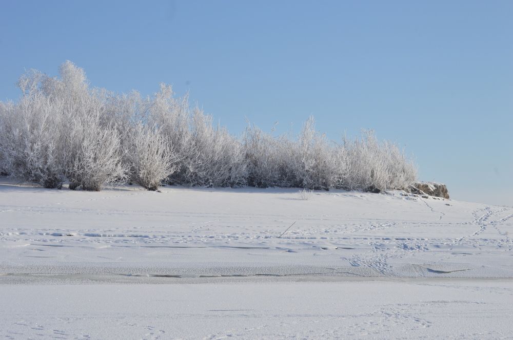 Photograph by Наталья Мордовская