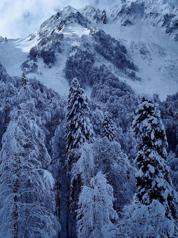 Photograph by Zina Lifanova