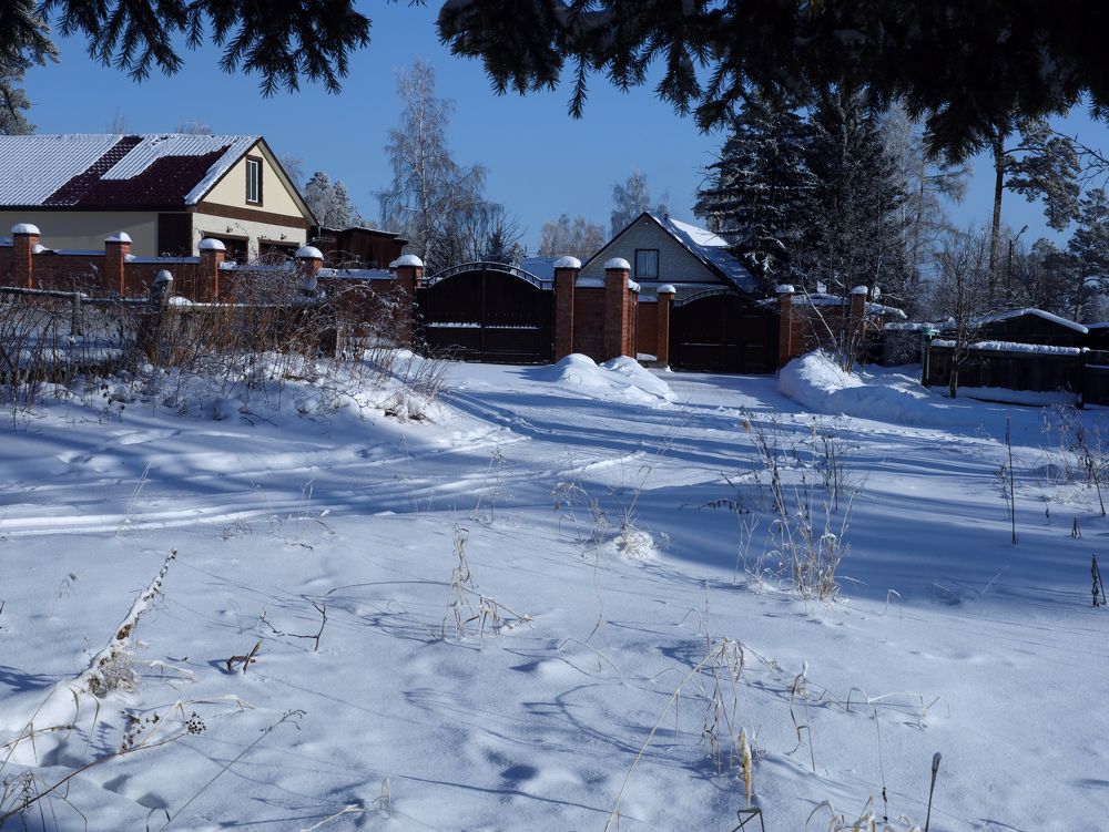 Photograph by Елена Шишкина