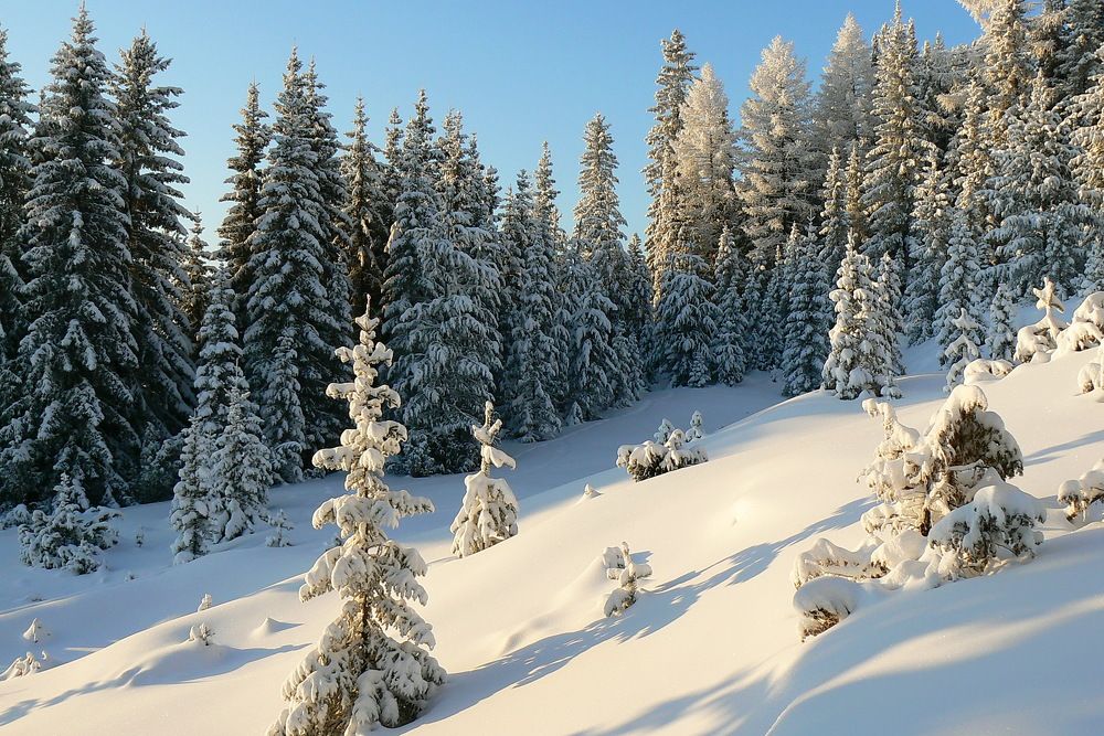 Photograph by Сергей Петров